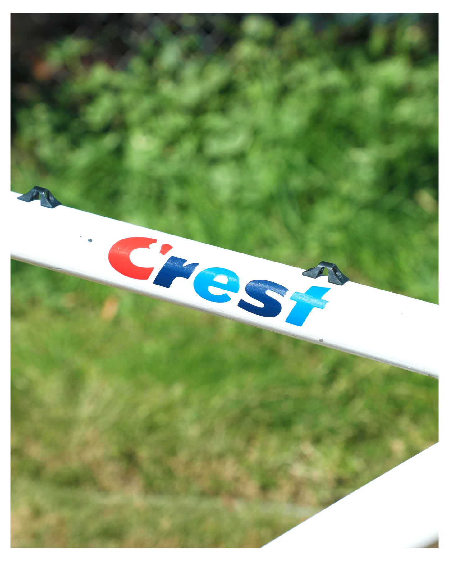 Cannondale Team Crest SR500