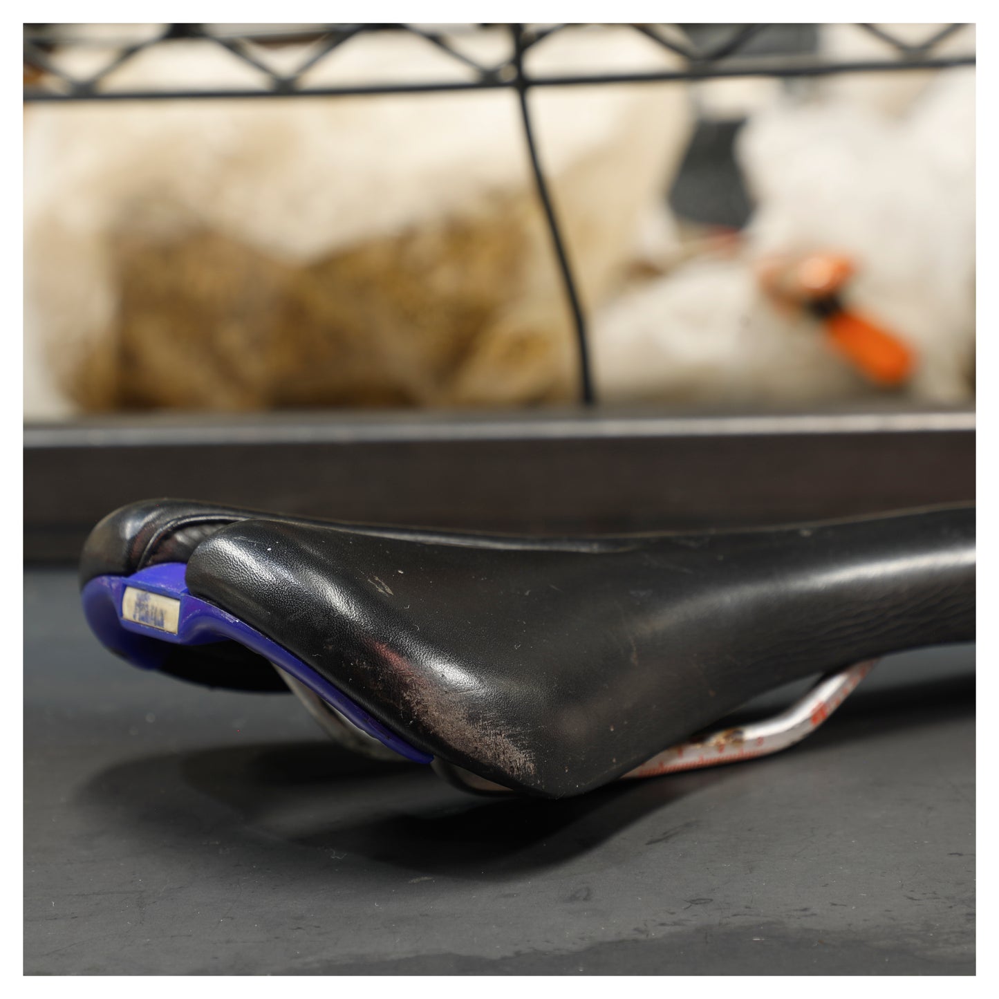 Selle Italia Mythos Vanadium 0.9 Saddle