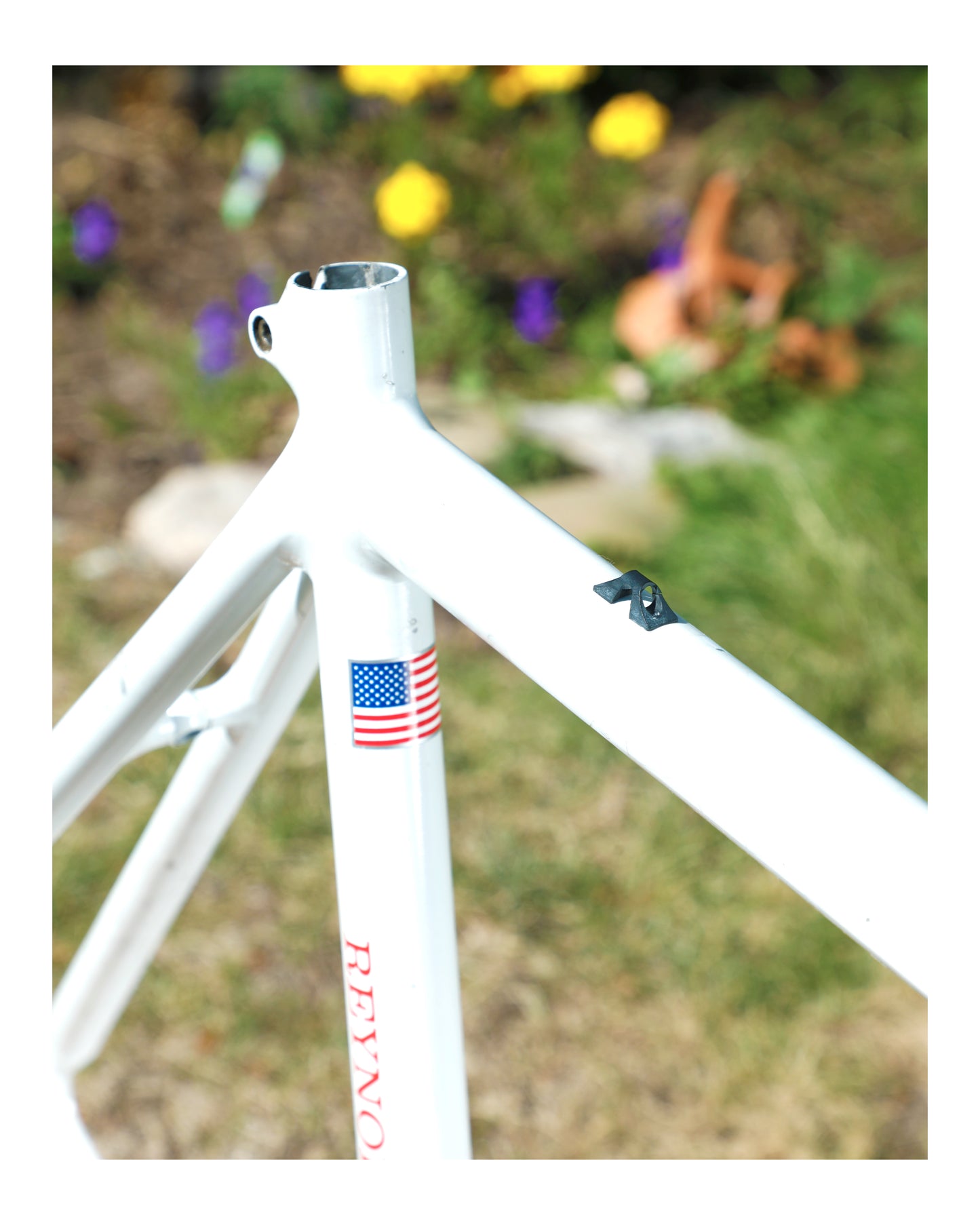 Cannondale Team Crest SR500