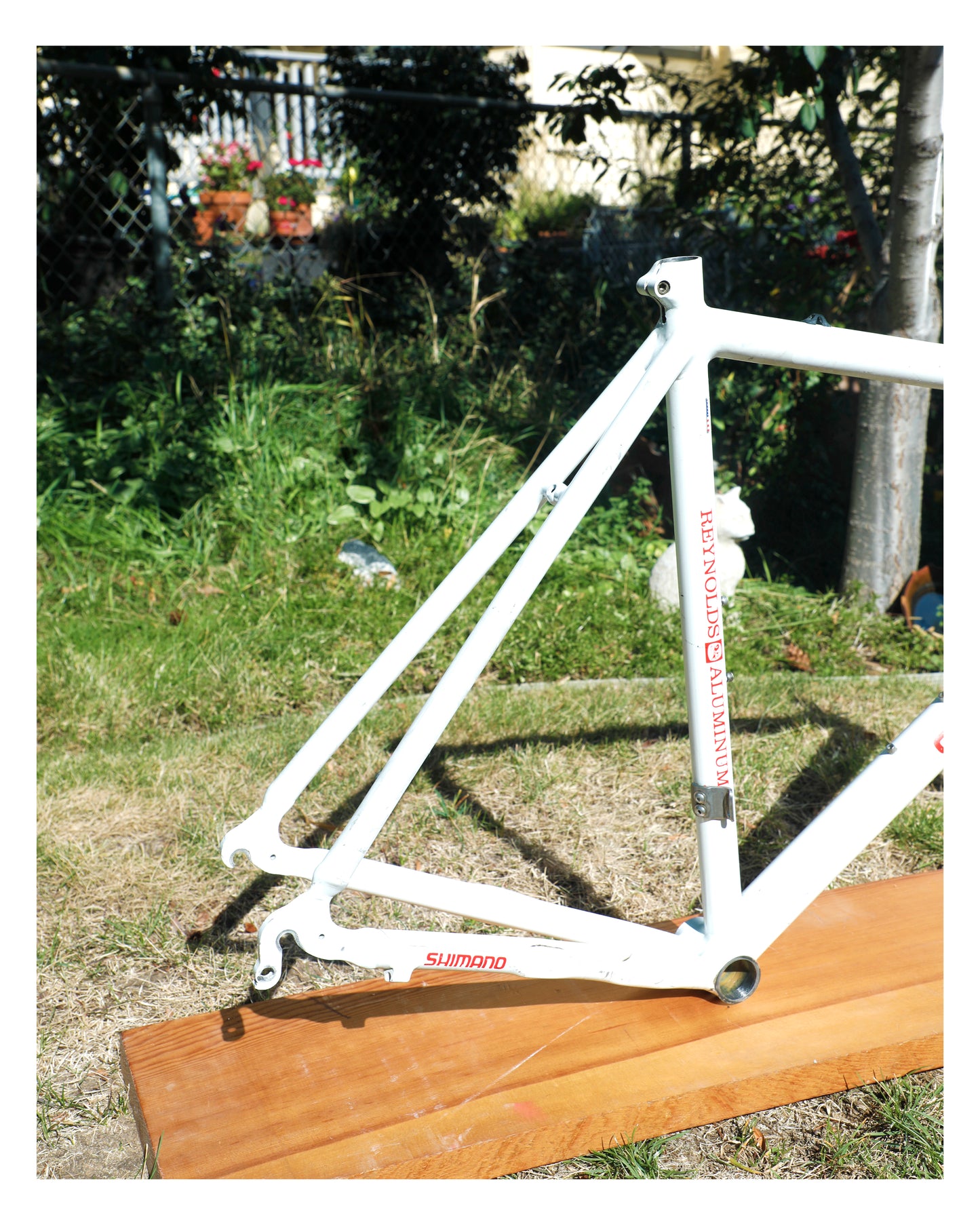 Cannondale Team Crest SR500