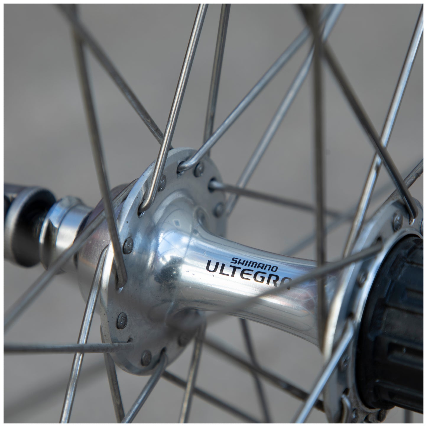 Sunrim CR18 / Shimano Ultegra Hubs