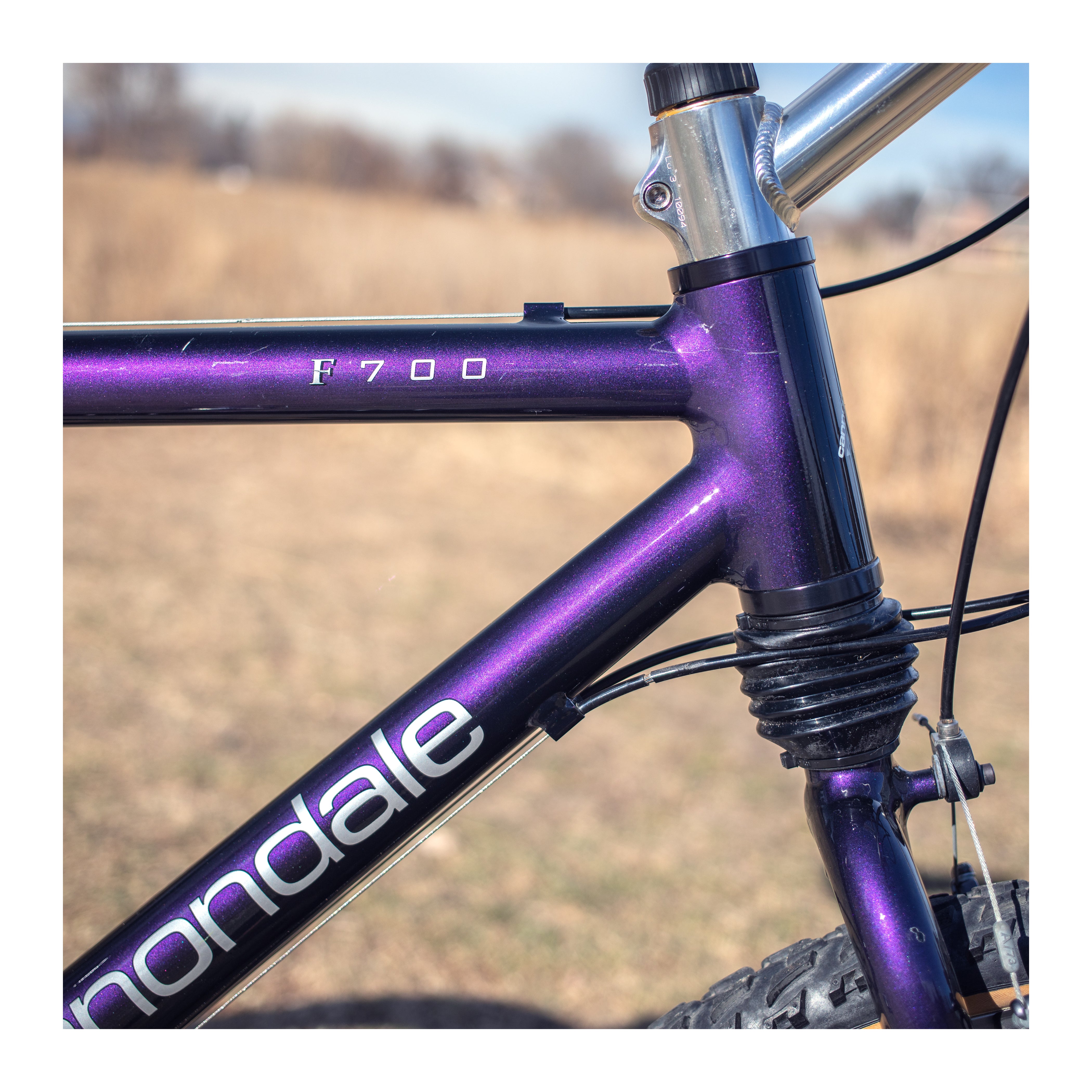 CDaleF70014.jpg?v=1641275226&