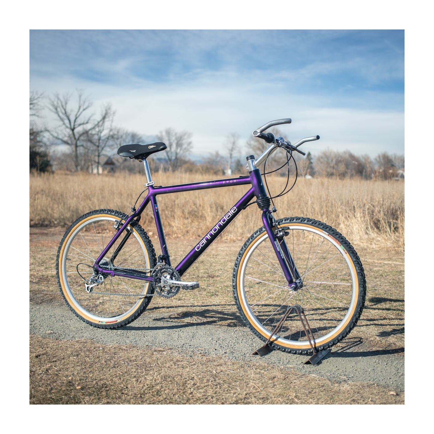 Cannondale m500 online purple