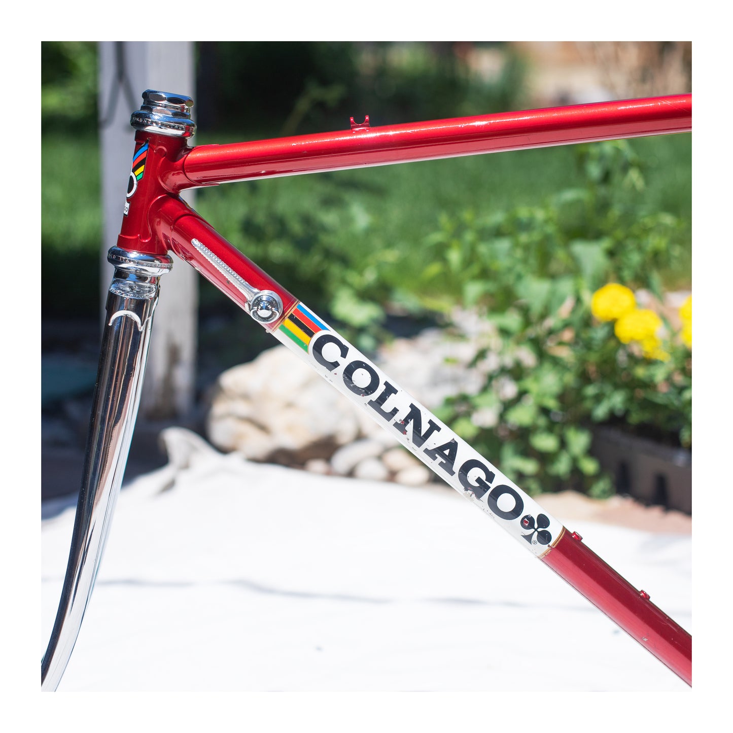 Colnago Super