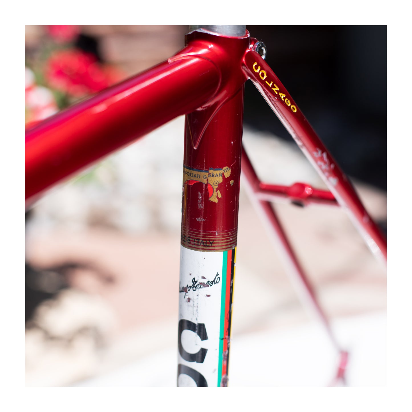 Colnago Super