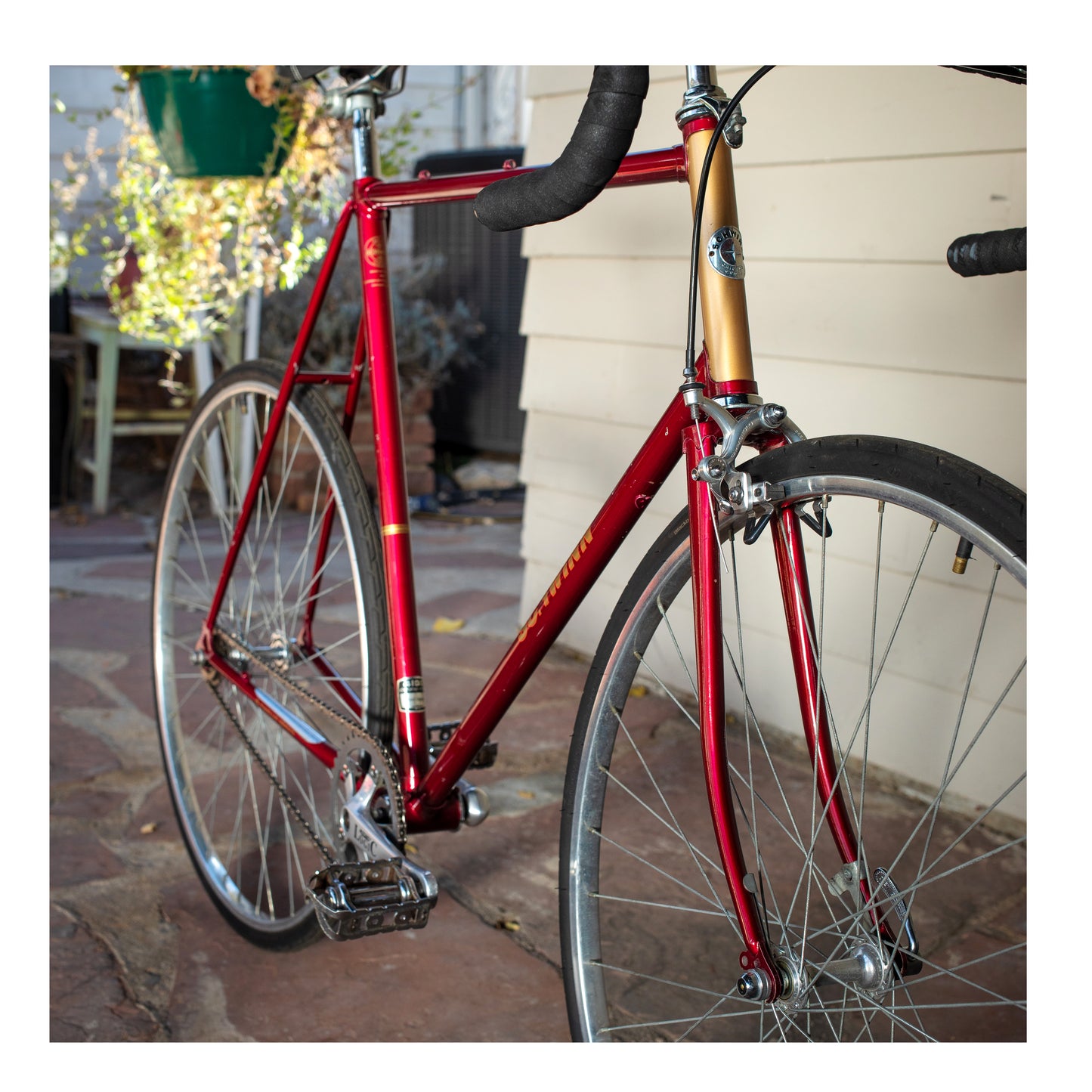 Custom Schwinn Traveler Single Speed