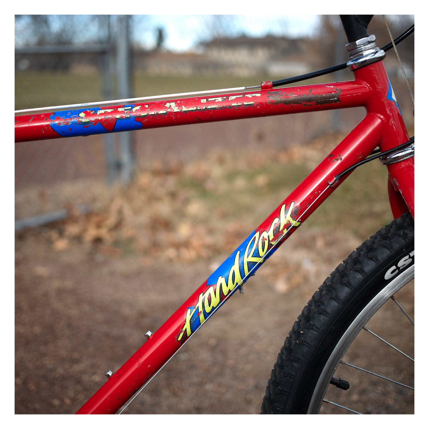 Specialized Rock Hopper