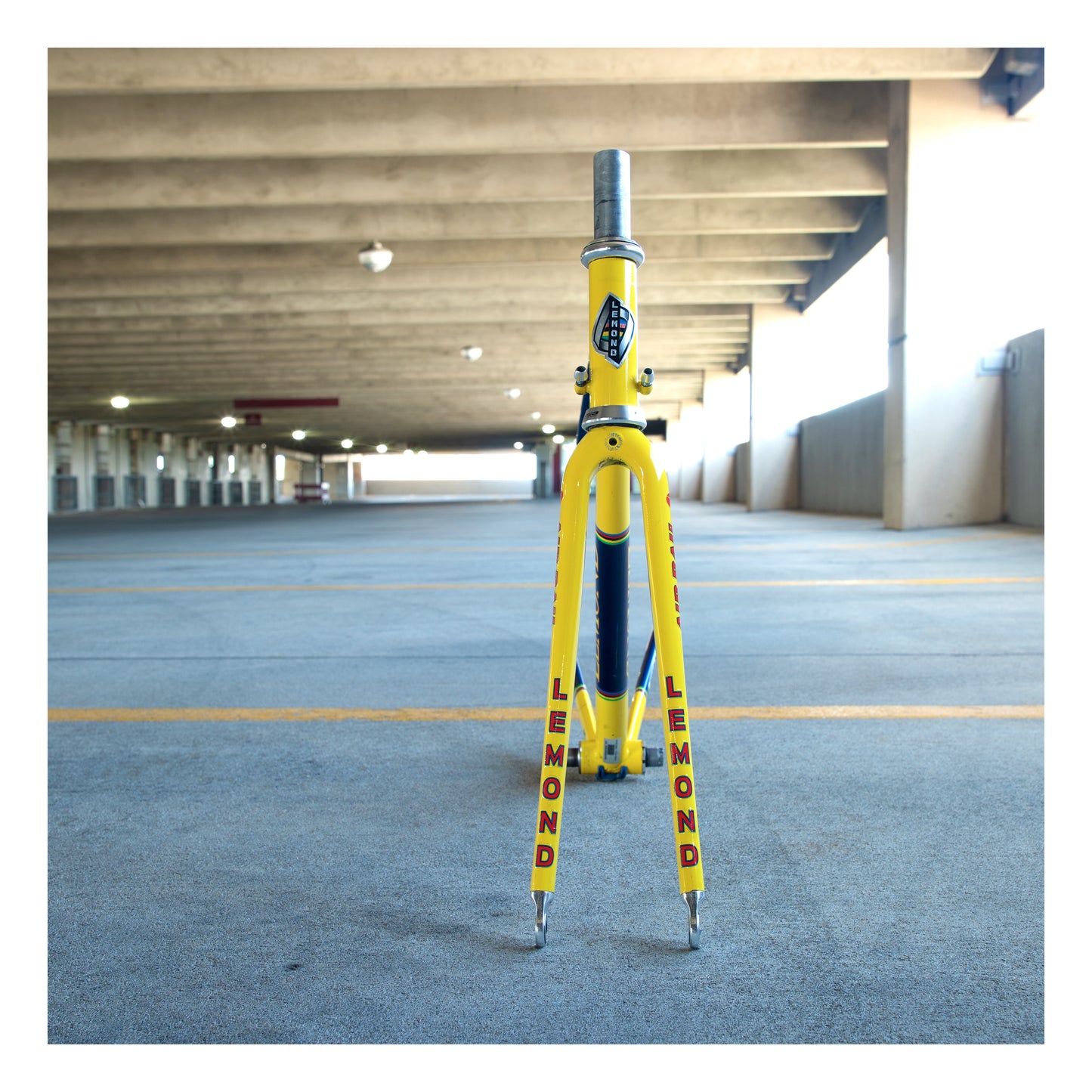 Lemond Zurich with Matching Rolf Wheels