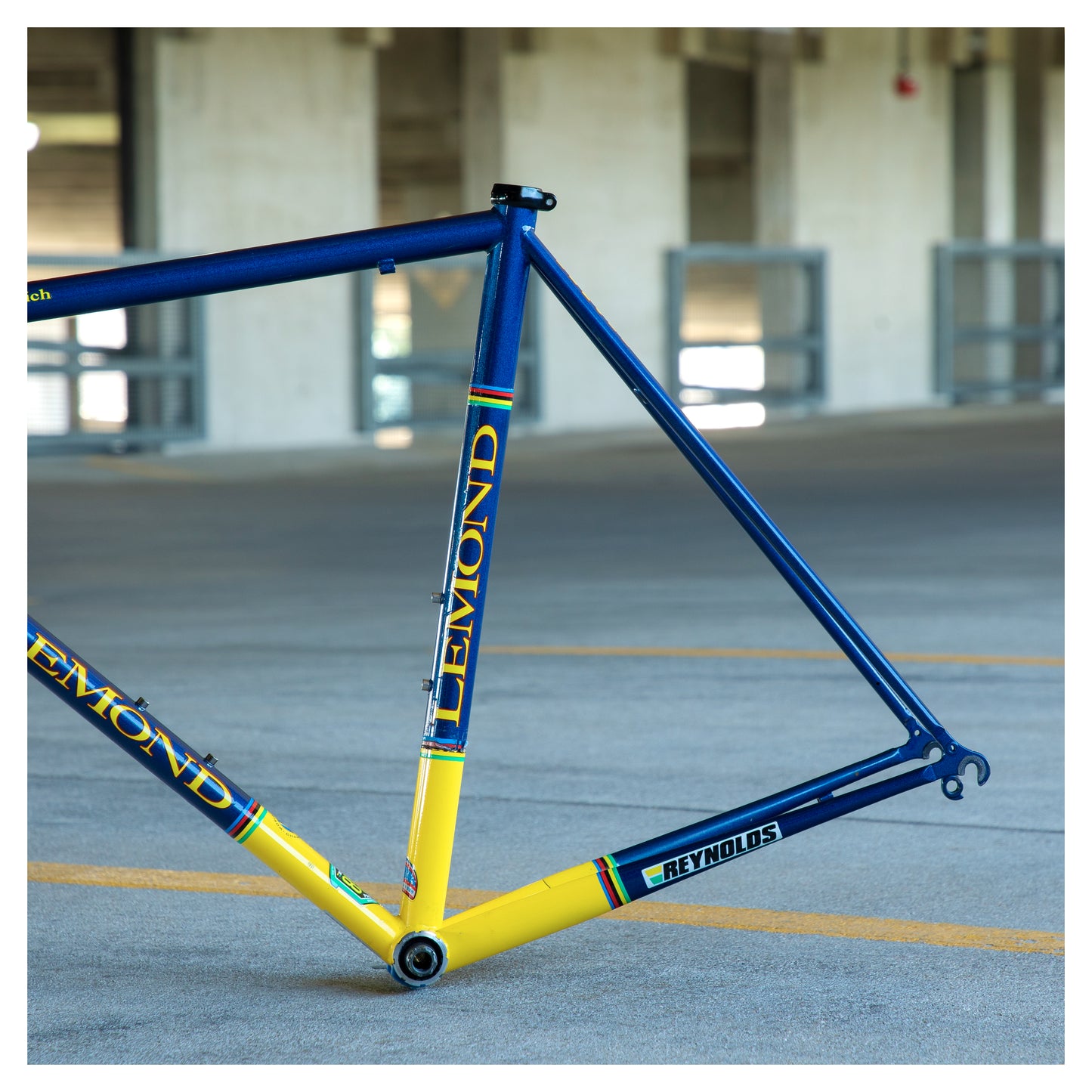 Lemond Zurich with Matching Rolf Wheels