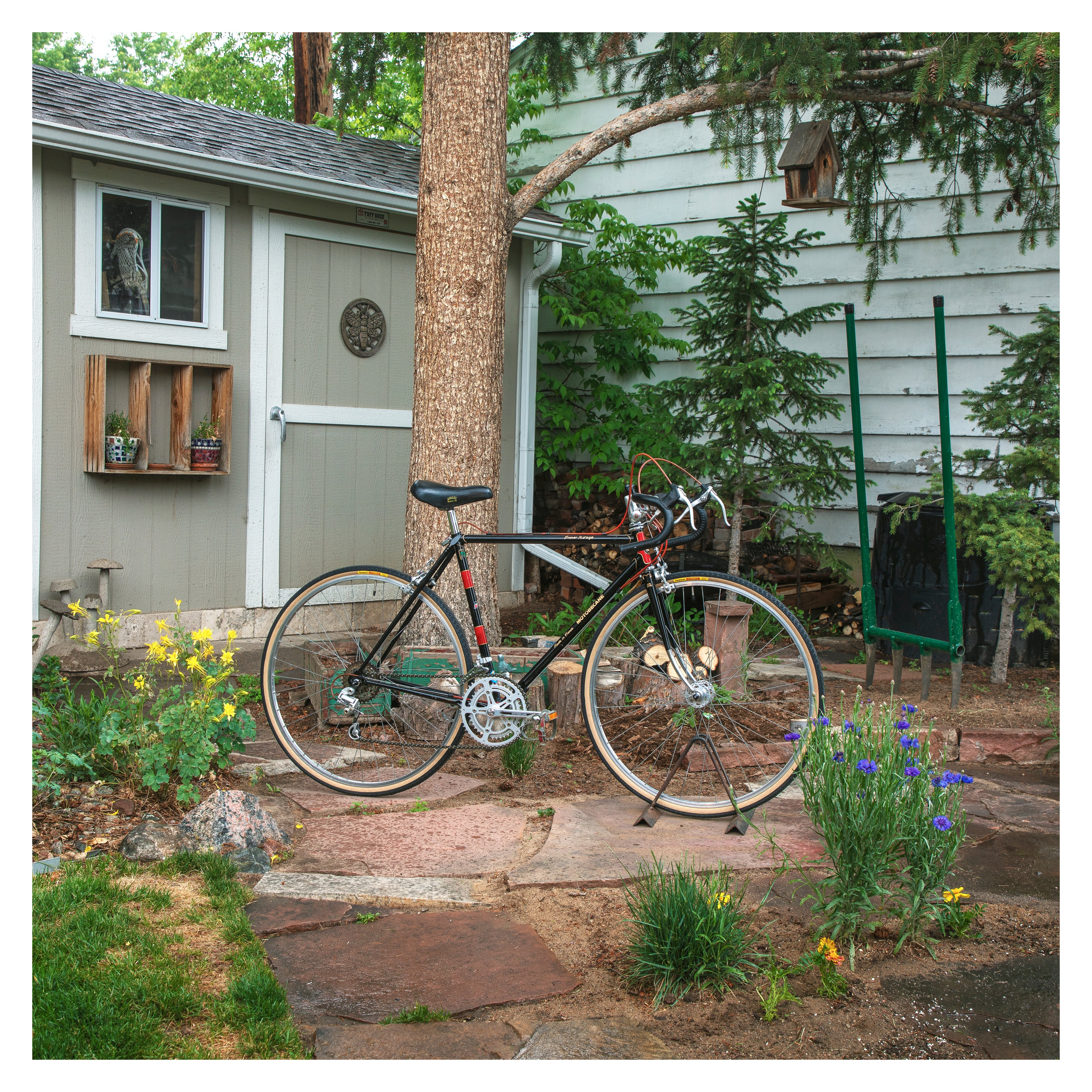 モトベカン　Motobécaneクロスバイク Save up to 60% off new Road Bikes - Motobecane Vent Noir