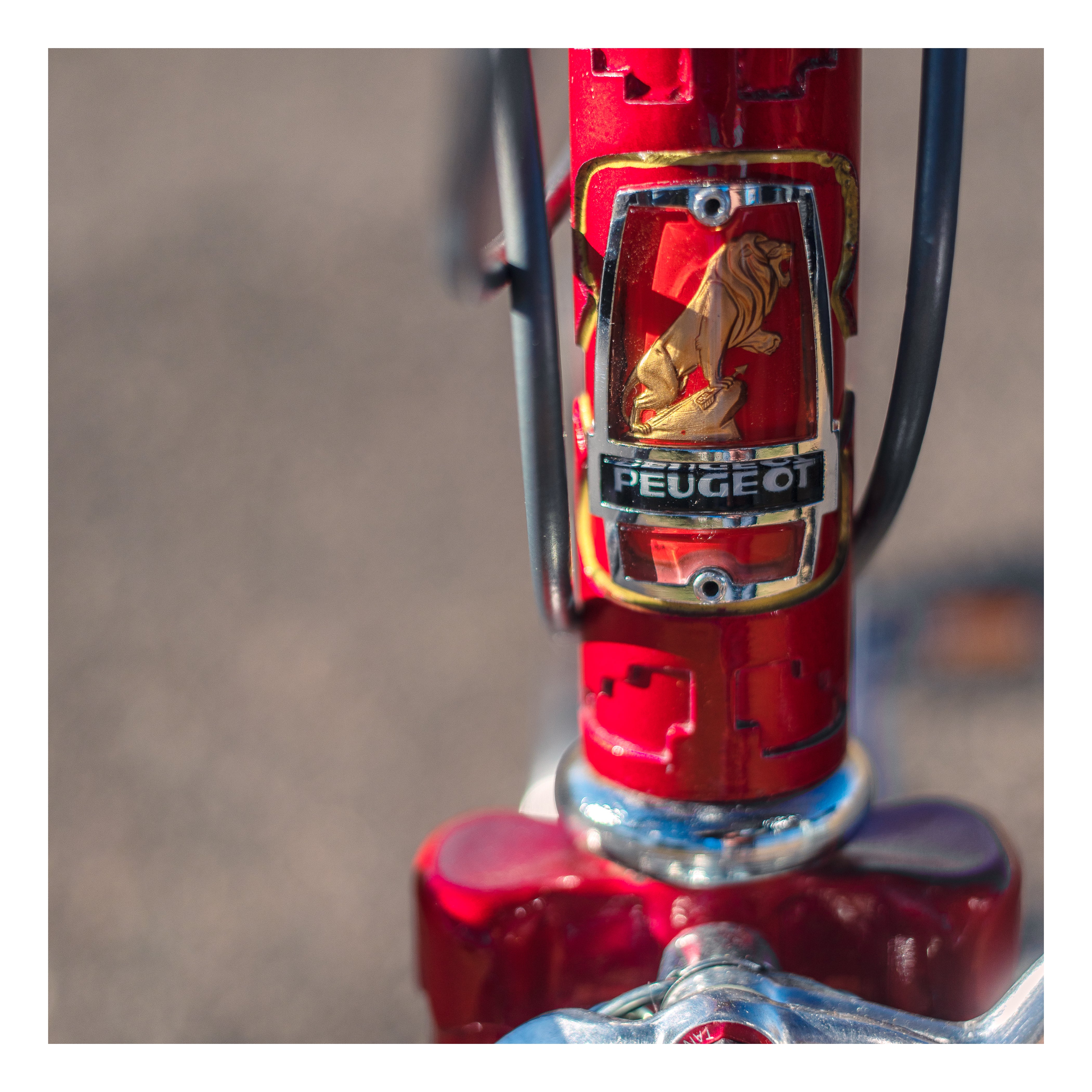 Peugeot 10 Speed – Ben's Cycles Denver
