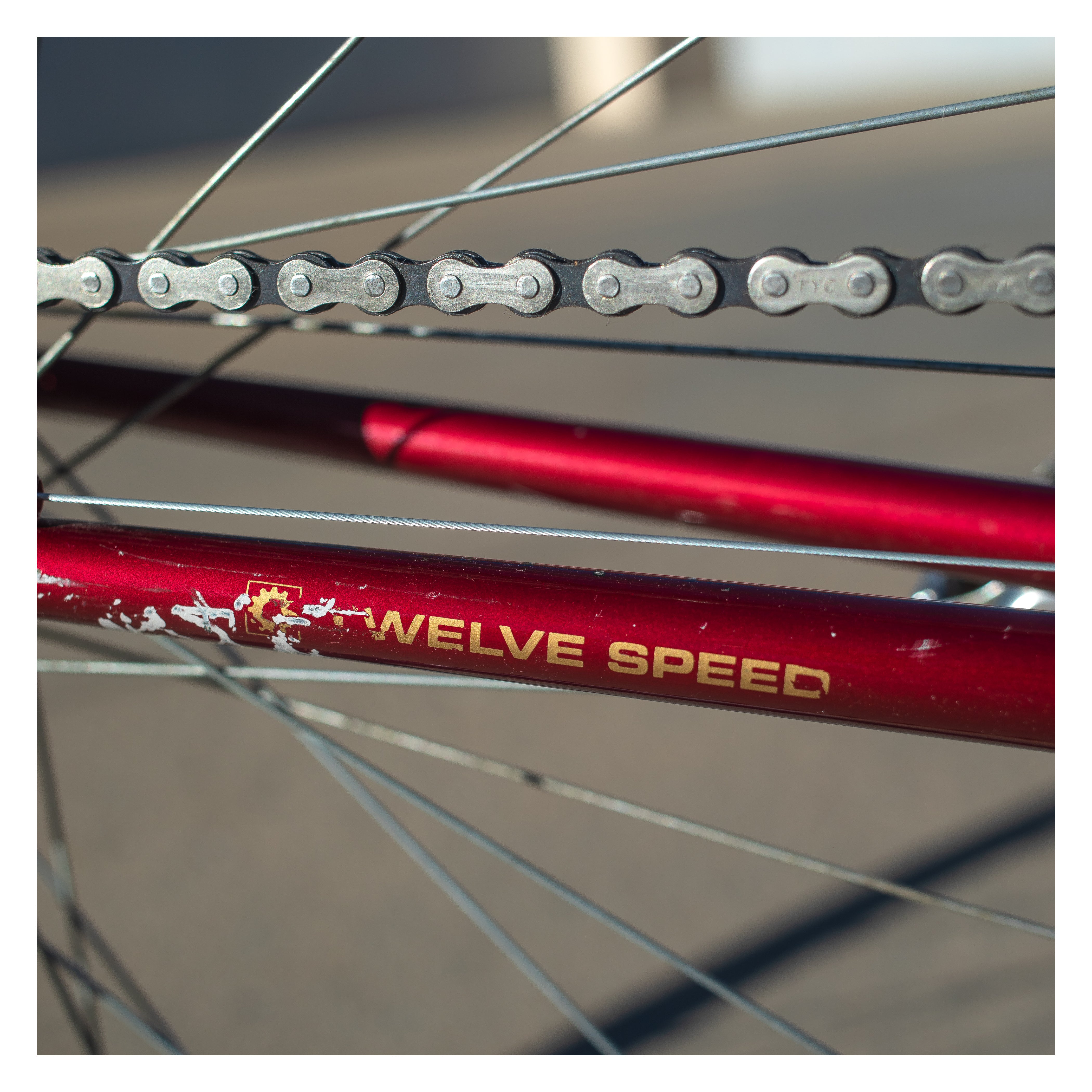 Schwinn Traveler 10 Speed – Ben's Cycles Denver