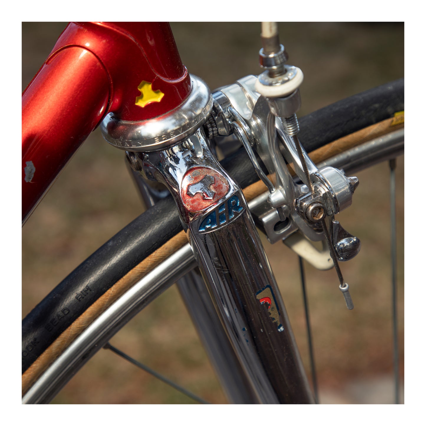 Tommasini Prestige