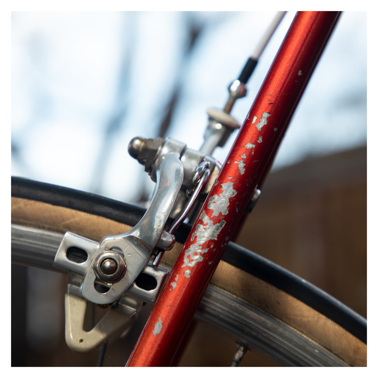 Tommasini Prestige