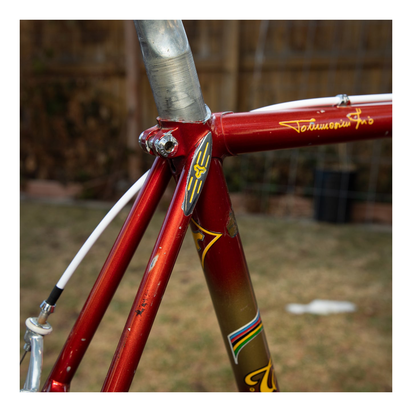 Tommasini Prestige