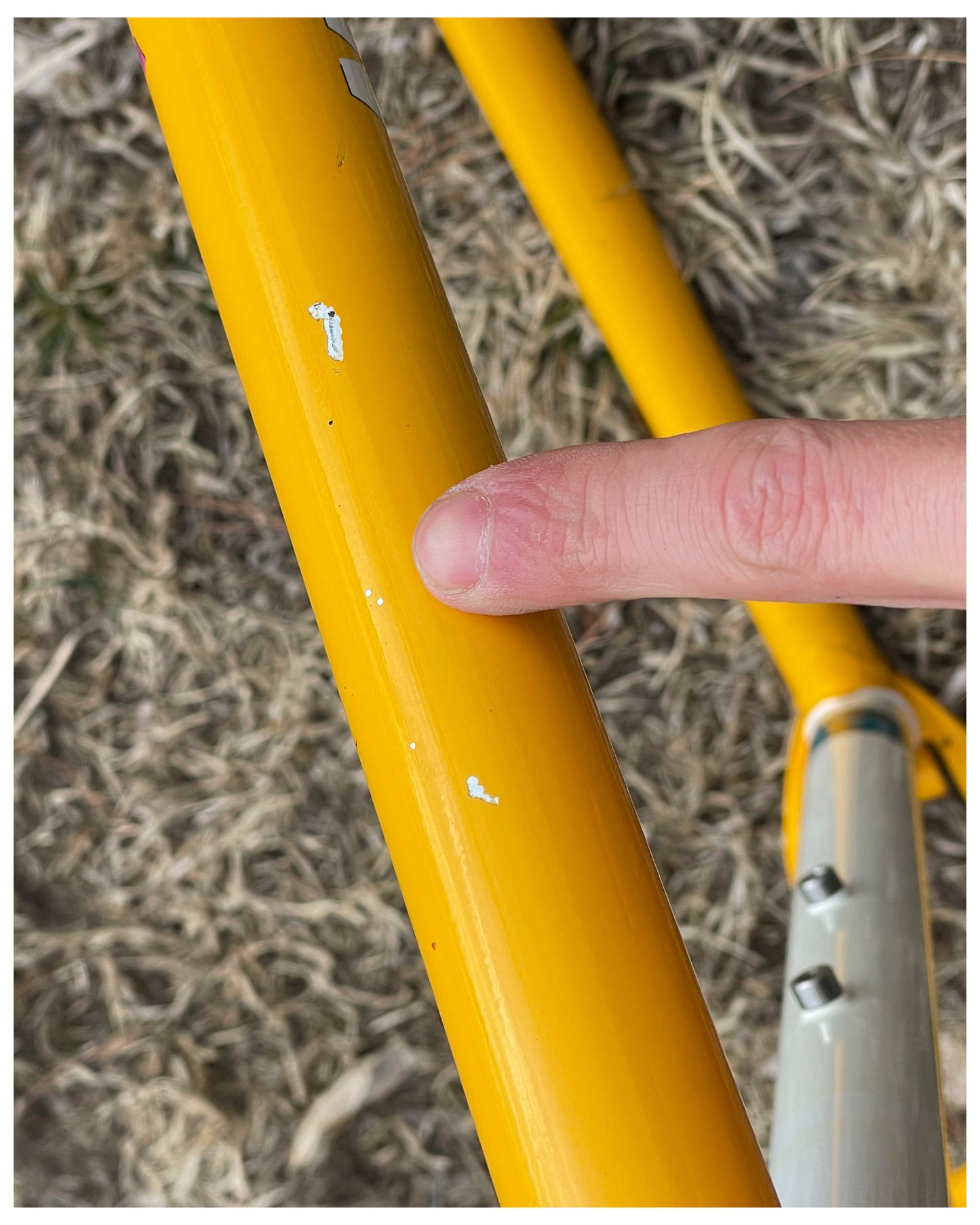 Centurion Ironman Dave Scott Master