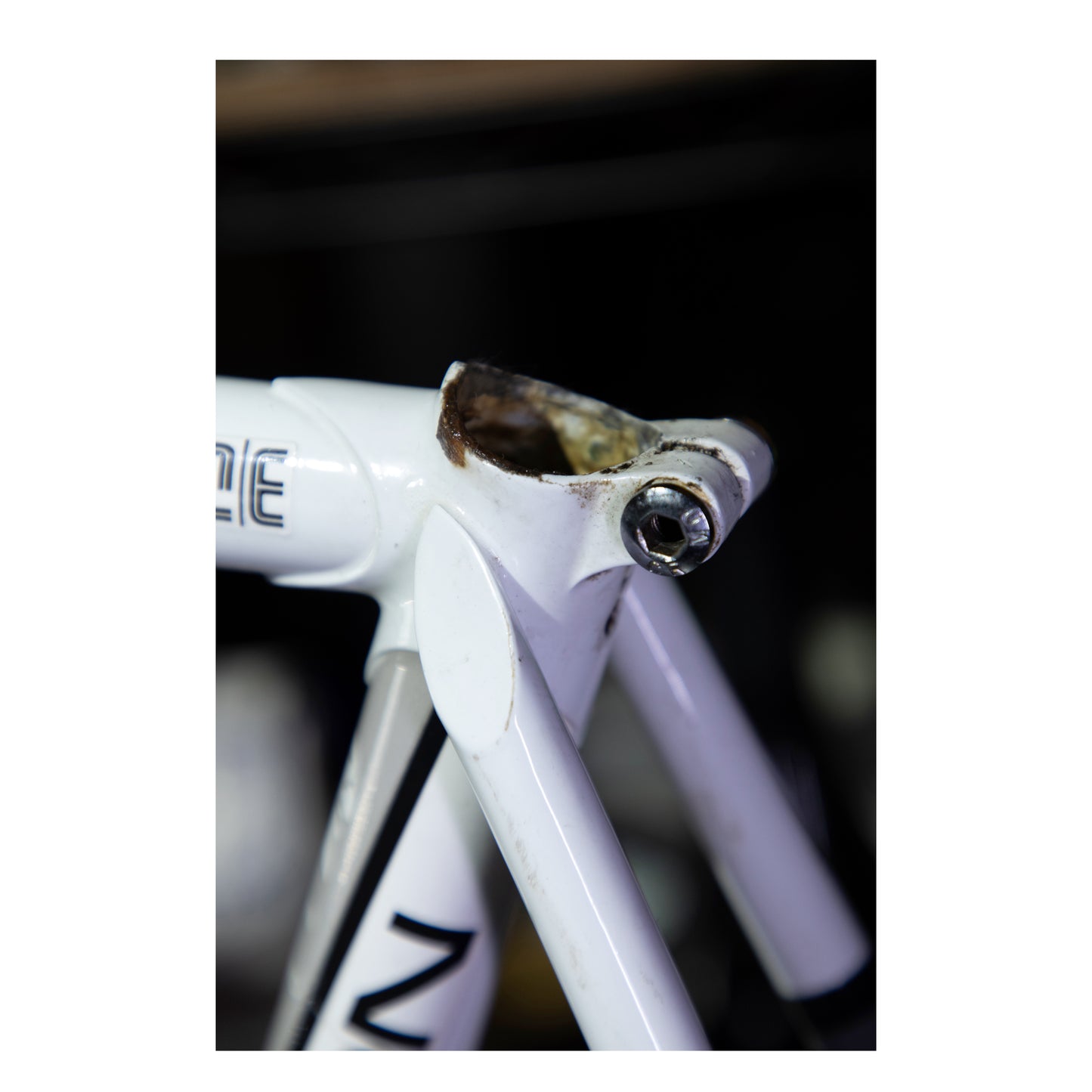 Sterling Falcon Race