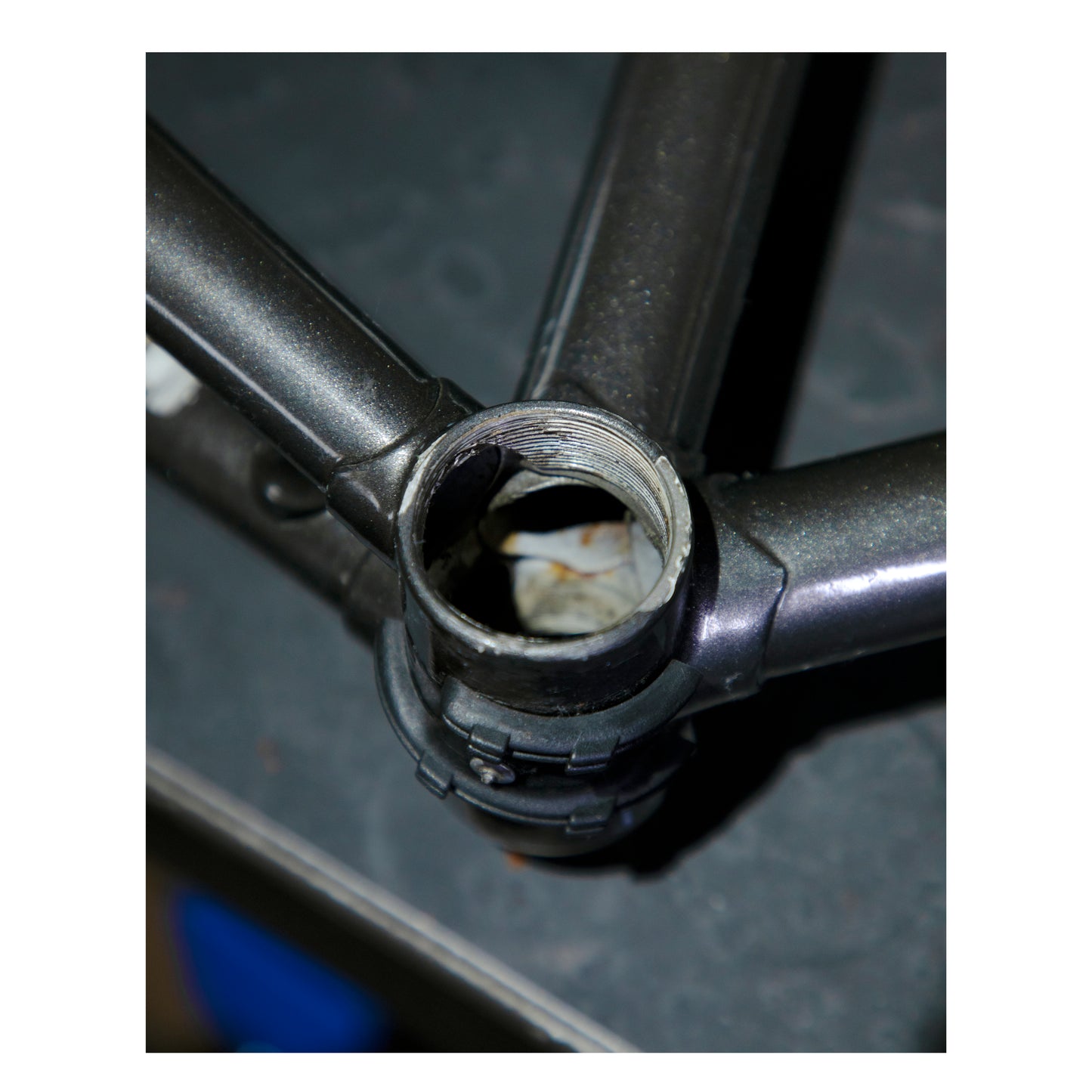 Sterling Falcon Race