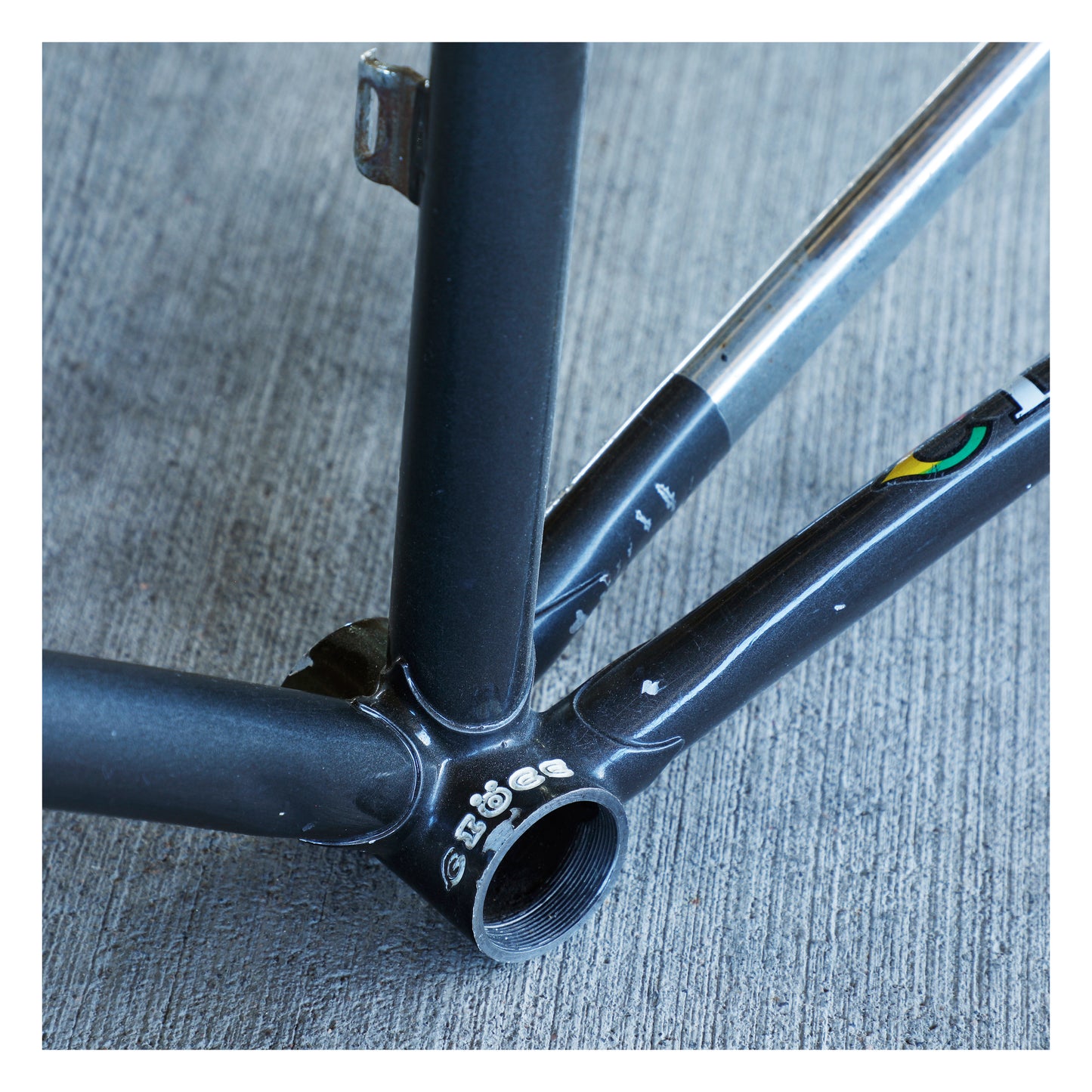 Ciocc SL Competizione