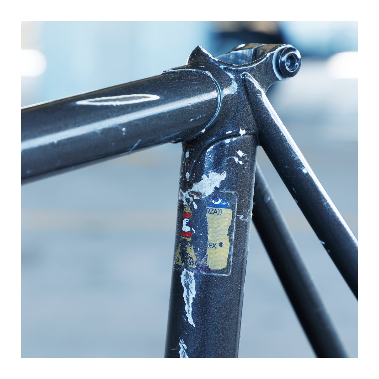 Ciocc SL Competizione