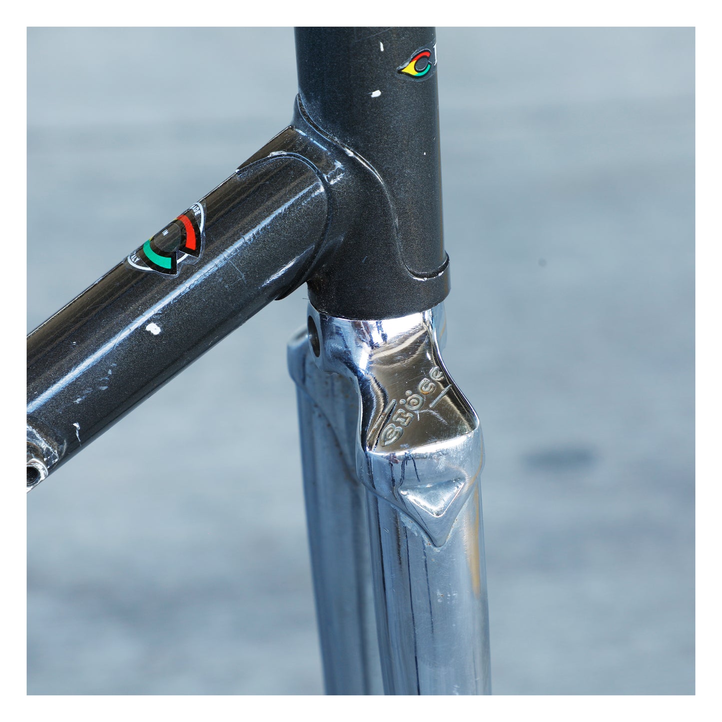 Ciocc SL Competizione