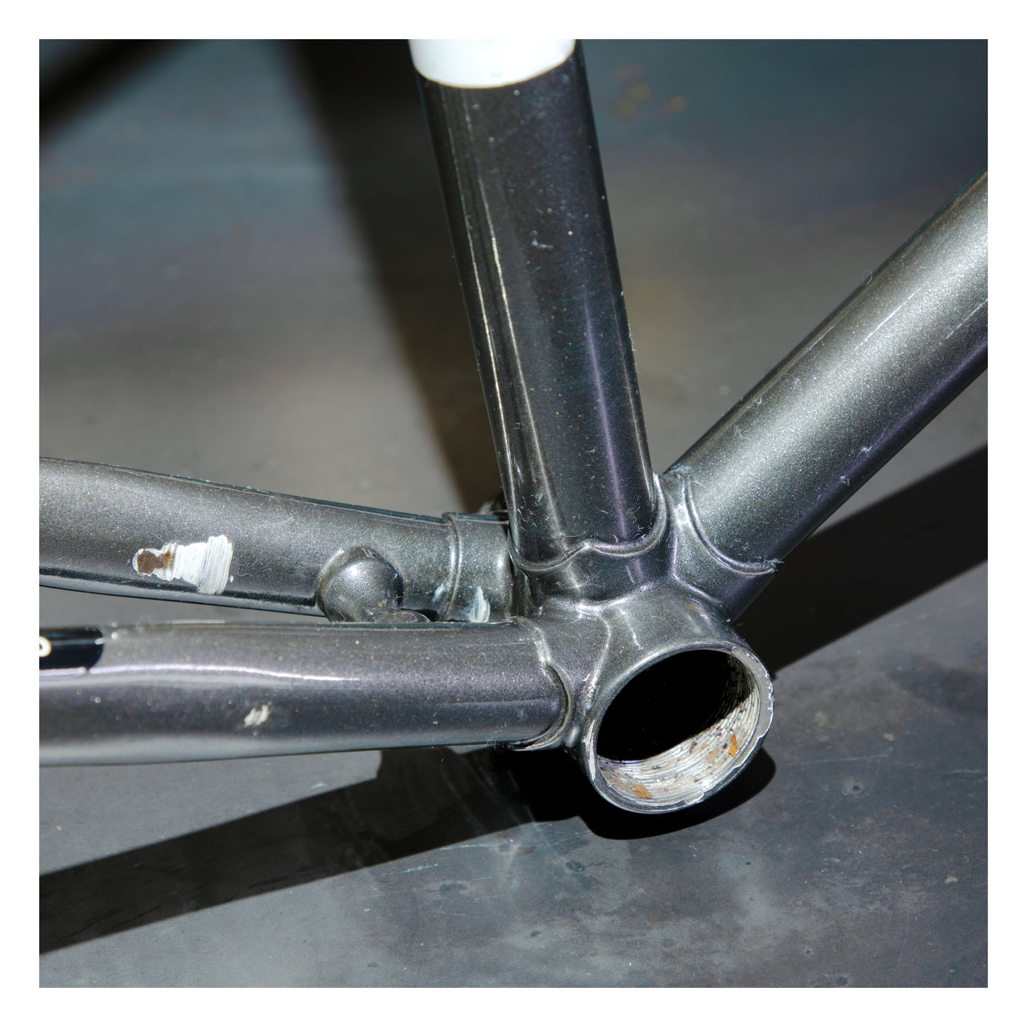 Sterling Falcon Race