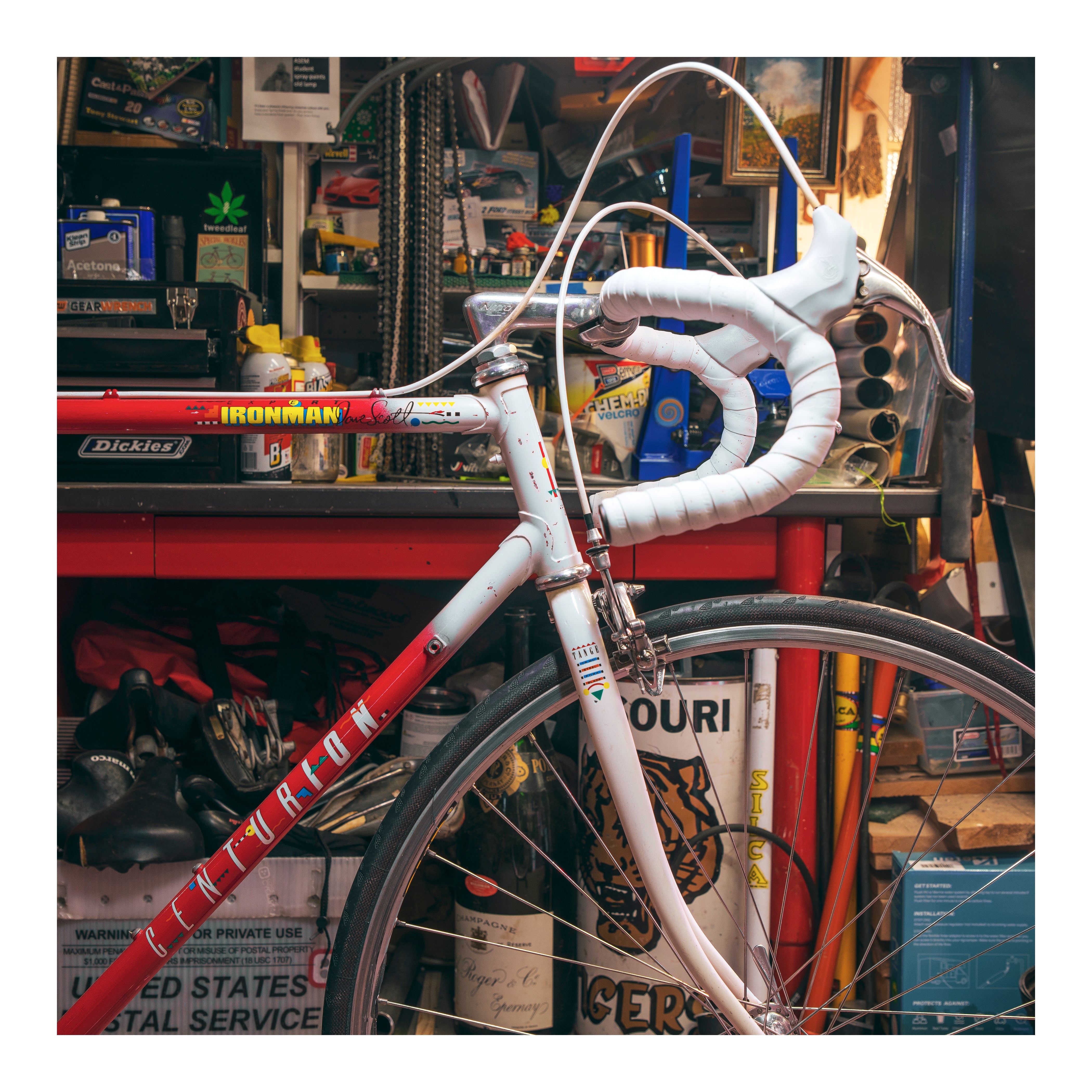 Centurion Iron Man Dave Scott - Single Speed – Ben's Cycles Denver